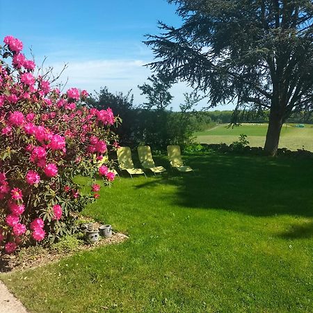 Saint-Nabord Gite Belle Fleur 6 Personnes- Vosges מראה חיצוני תמונה